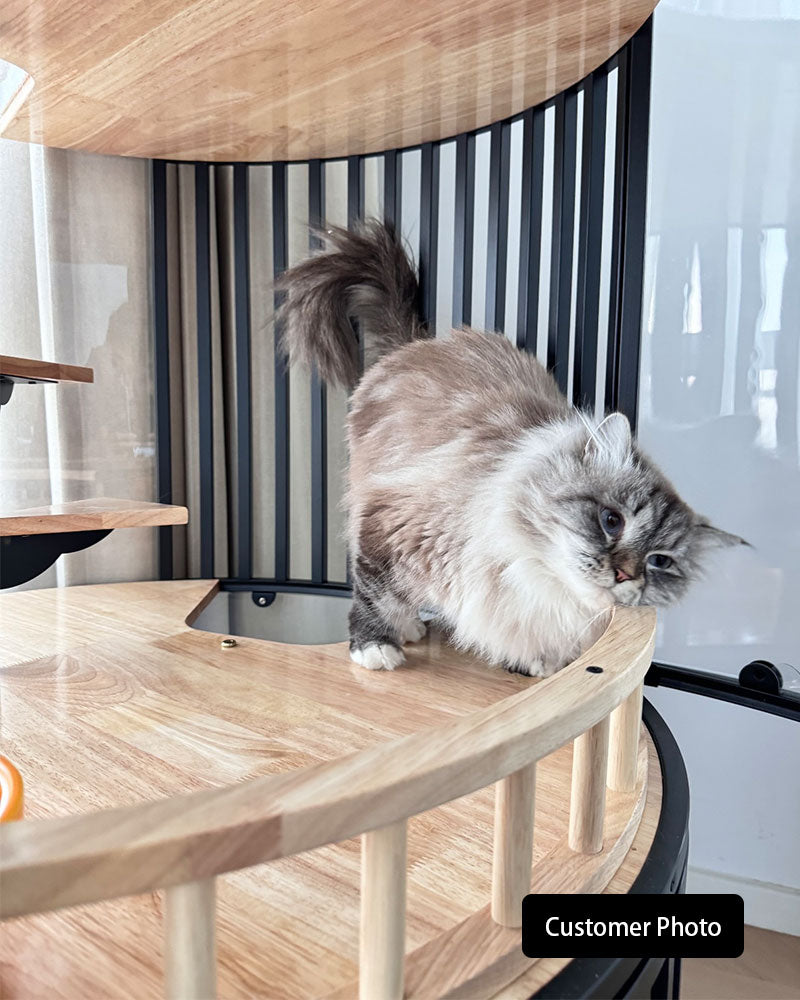 Sky Castle Panoramic Glass Cat Villa