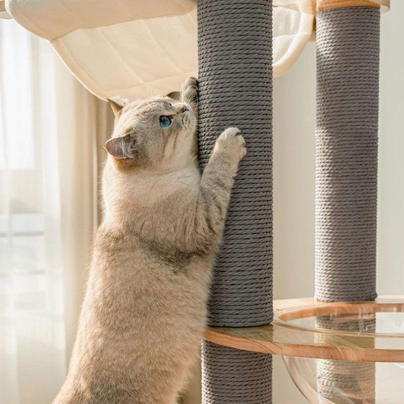 Treadmill Cat Climbing Tree Exercise Wheel