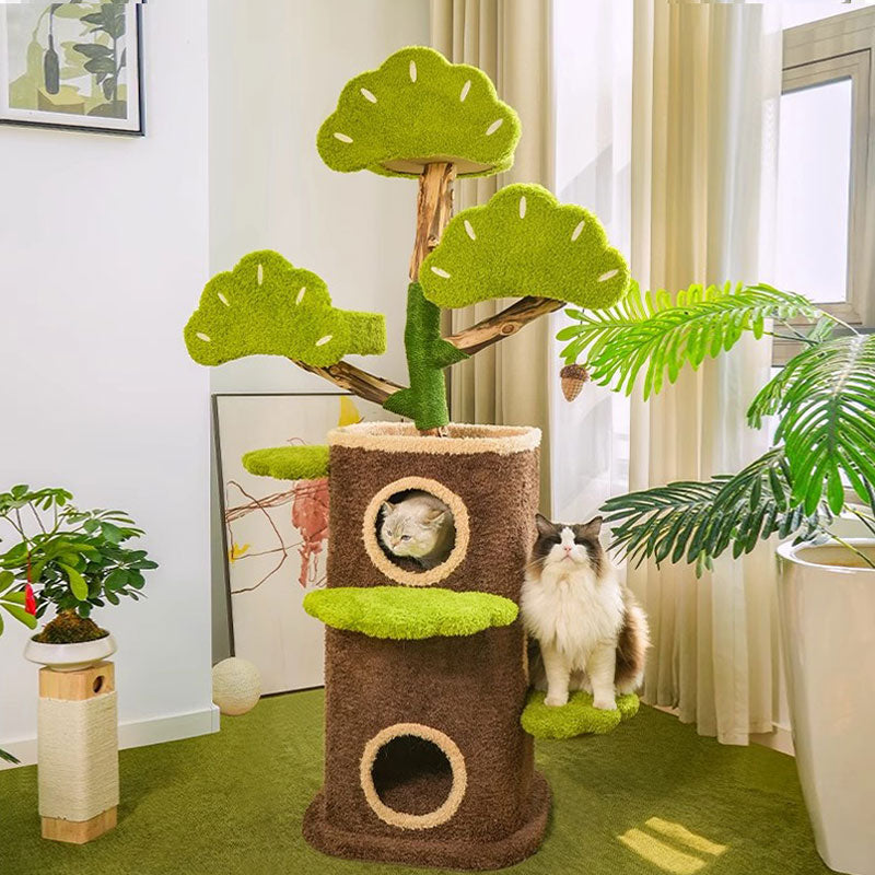 Welcome Cat Climbing Tree House