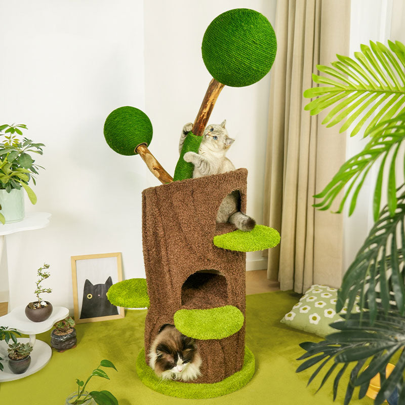 Welcome Cat Climbing Tree House