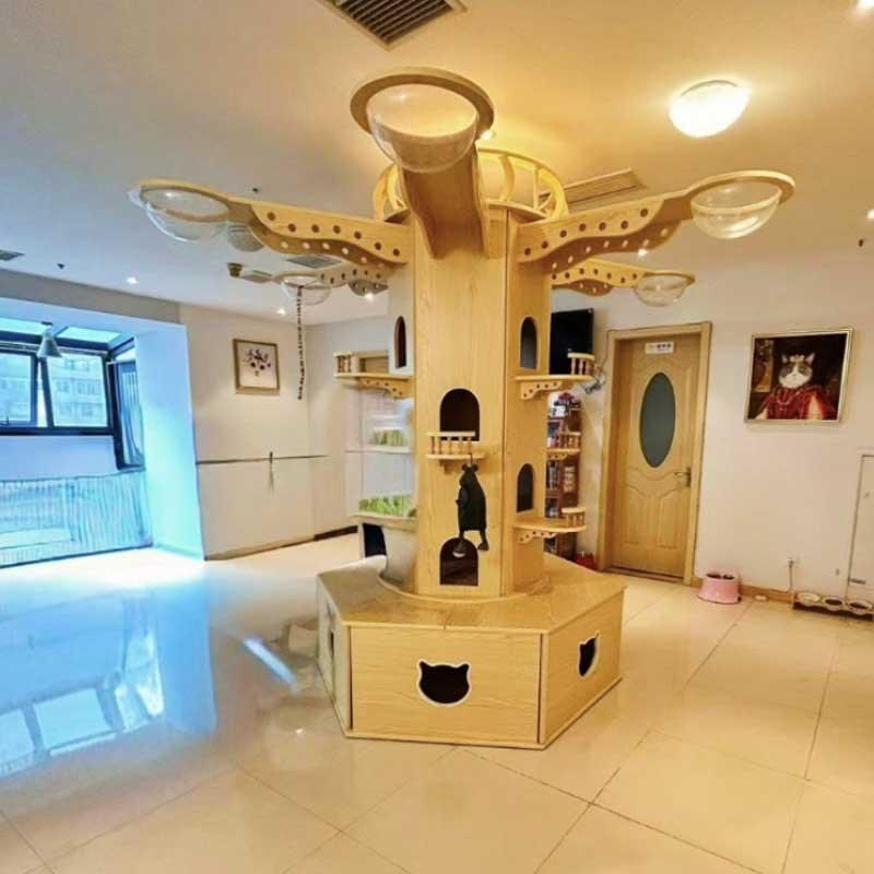 Air Playground Climbing Shelf for Multiple Cat - MEWCATS