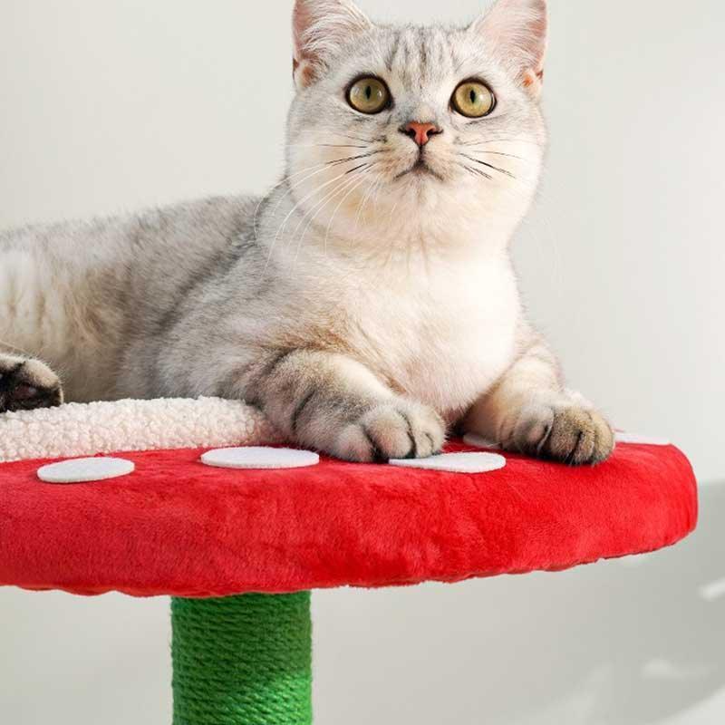 Cannibal Flower Cat Tree Fun Toy Bed