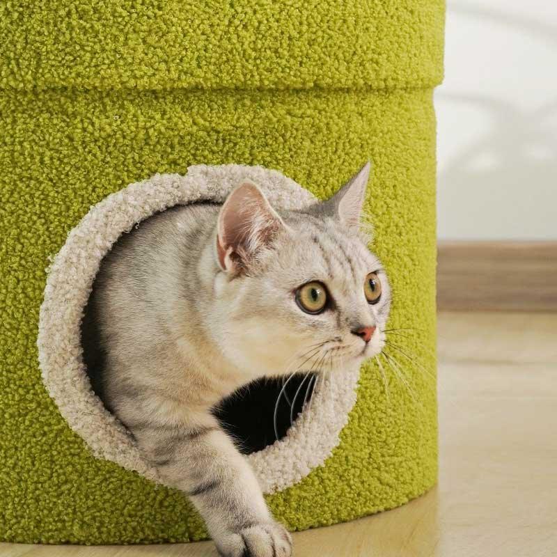 Cannibal Flower Cat Tree Fun Toy Bed