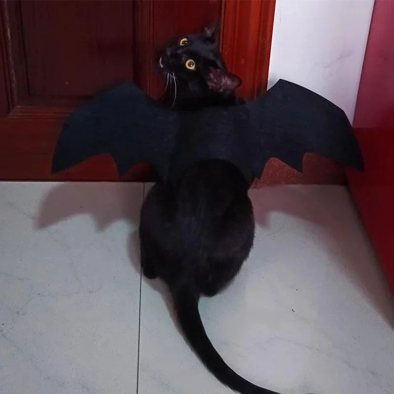 Cat Bat Wing Cosplay Halloween 3 Color Costume Props - MEWCATS