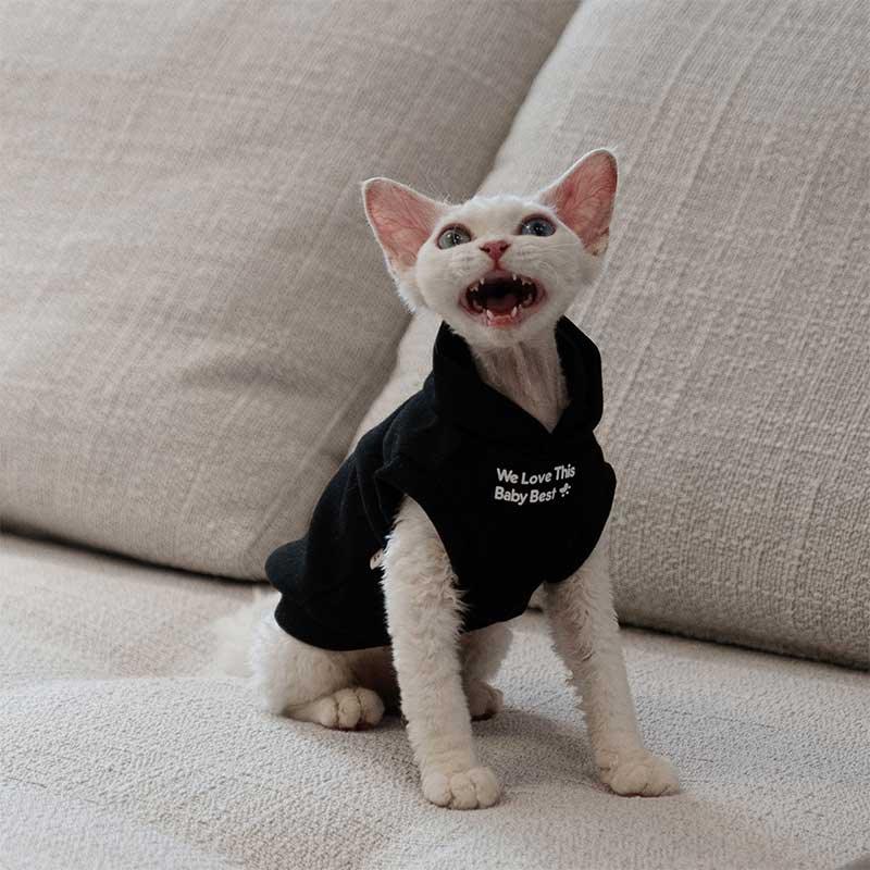 Cat Clothes Sphynx Hairless Cat Hoodie - MEWCATS