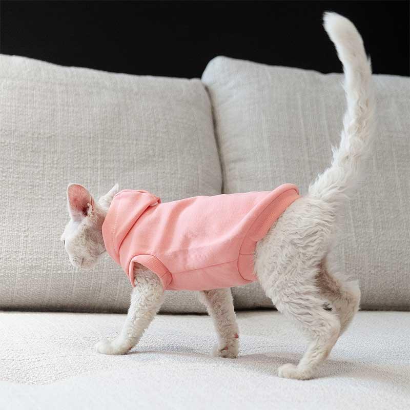 Cat Clothes Sphynx Hairless Cat Hoodie - MEWCATS