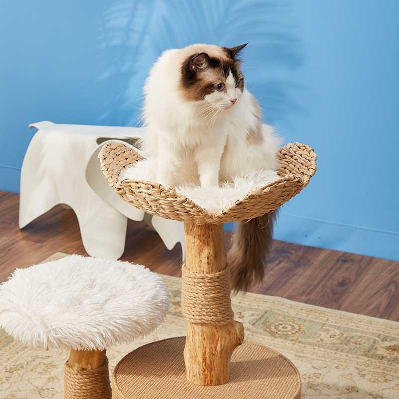Cattail Solid Wood Cat Tree Climbing Frame - MEWCATS