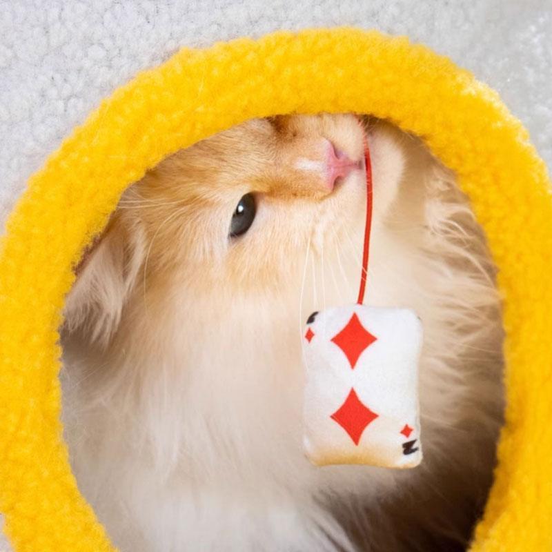 Circus Series Cat Scratching Toy - MEWCATS
