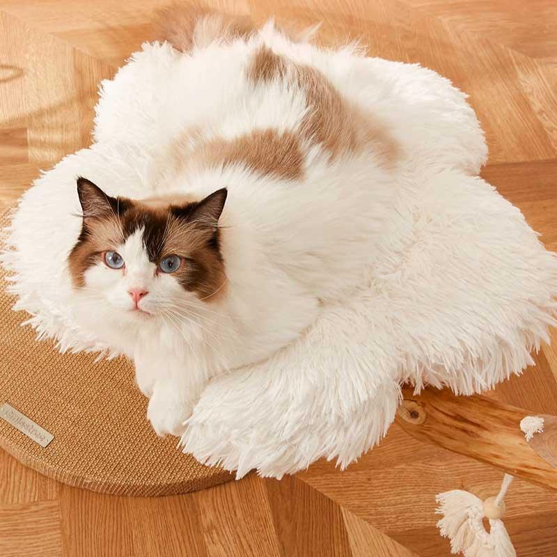Cloudy Flower Cat Tree 5 Color Climbing Frame - MEWCATS