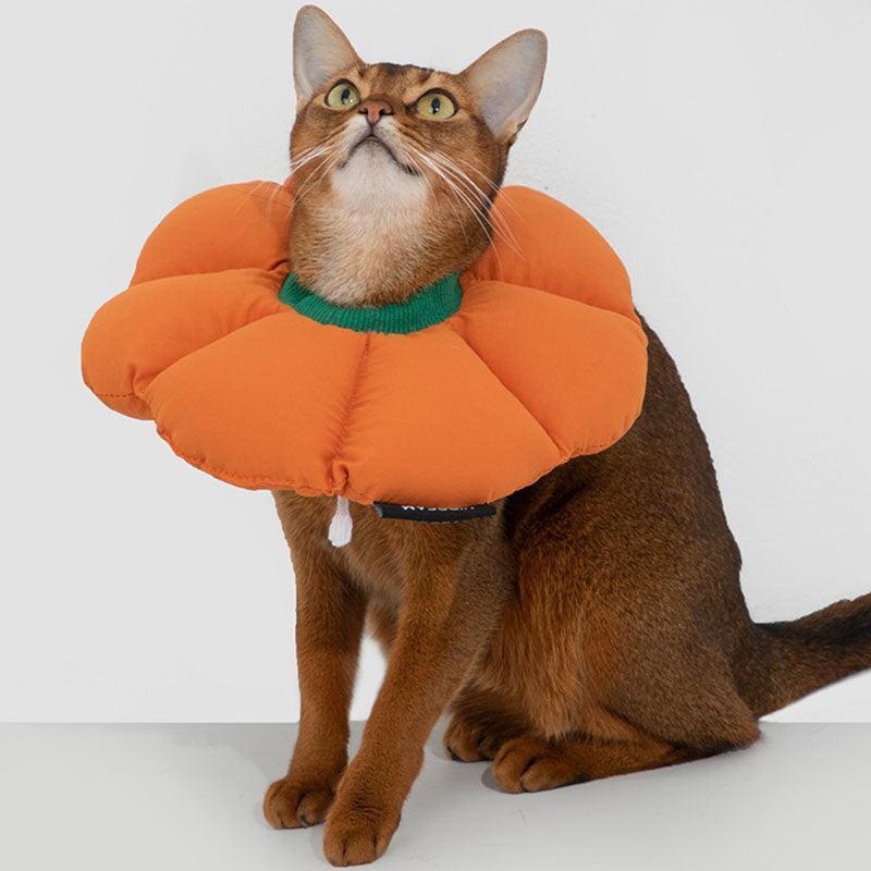 Flower Cat Elizabethan Waterproof Cone Headgear - MEWCATS