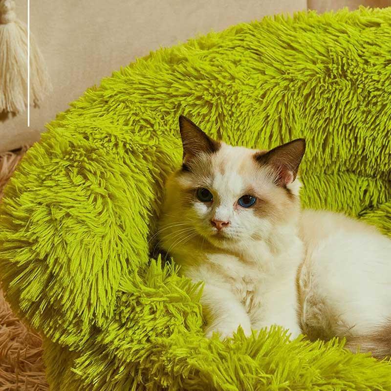 Green Monster Cat Sofa Fluffy Cat Bed Couch - MEWCATS