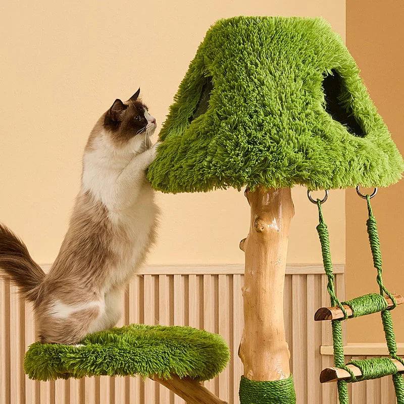 Green Sky Ladder Cloud Climber Cat Tree - MEWCATS