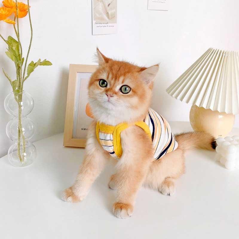 Summer Clashing Cat Vest 3 Color Pet Clothes - MEWCATS