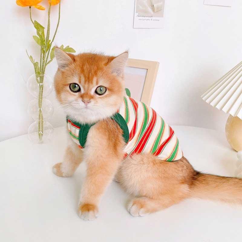 Summer Clashing Cat Vest 3 Color Pet Clothes - MEWCATS