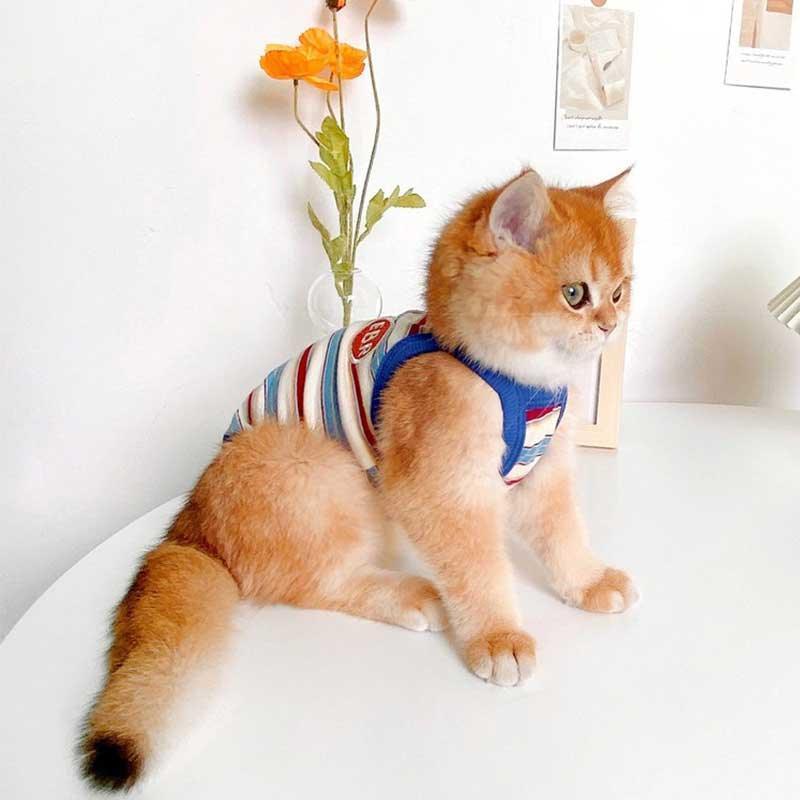Summer Clashing Cat Vest 3 Color Pet Clothes - MEWCATS