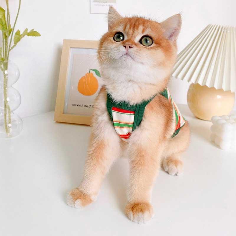 Summer Clashing Cat Vest 3 Color Pet Clothes - MEWCATS