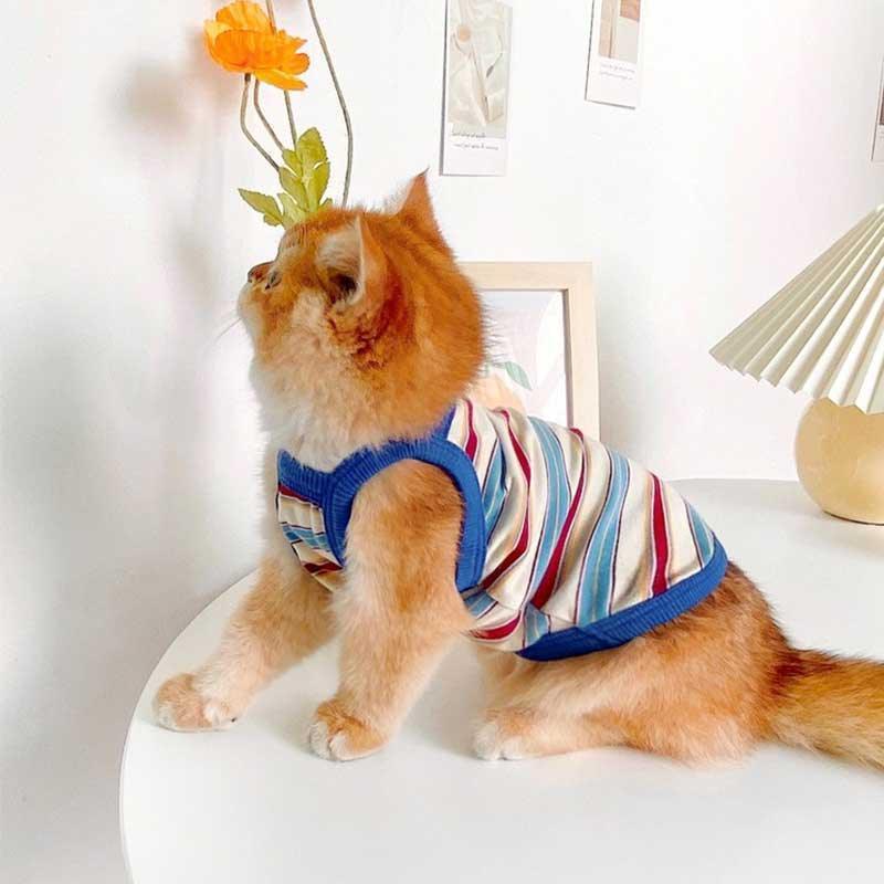 Summer Clashing Cat Vest 3 Color Pet Clothes - MEWCATS