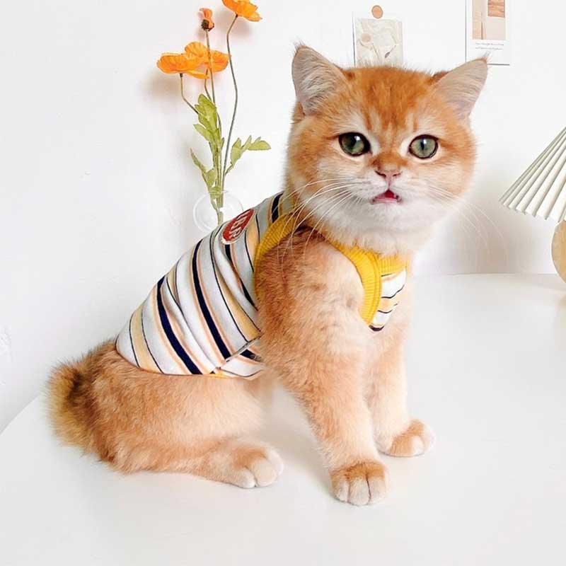 Summer Clashing Cat Vest 3 Color Pet Clothes - MEWCATS