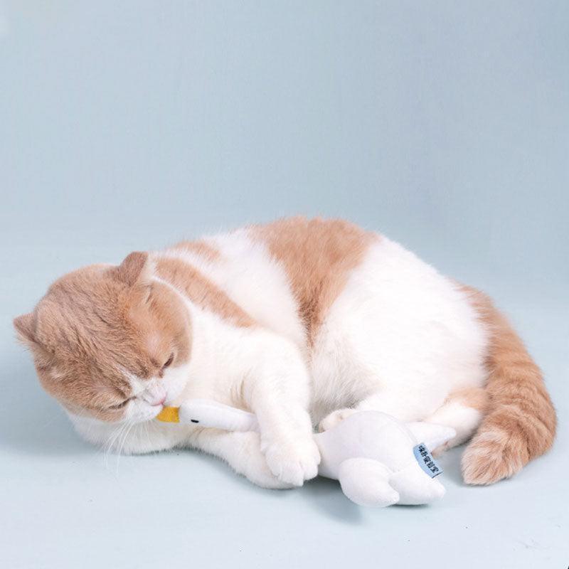 Teaser Cat Stick 4 Series Sound Toy Set - MEWCATS