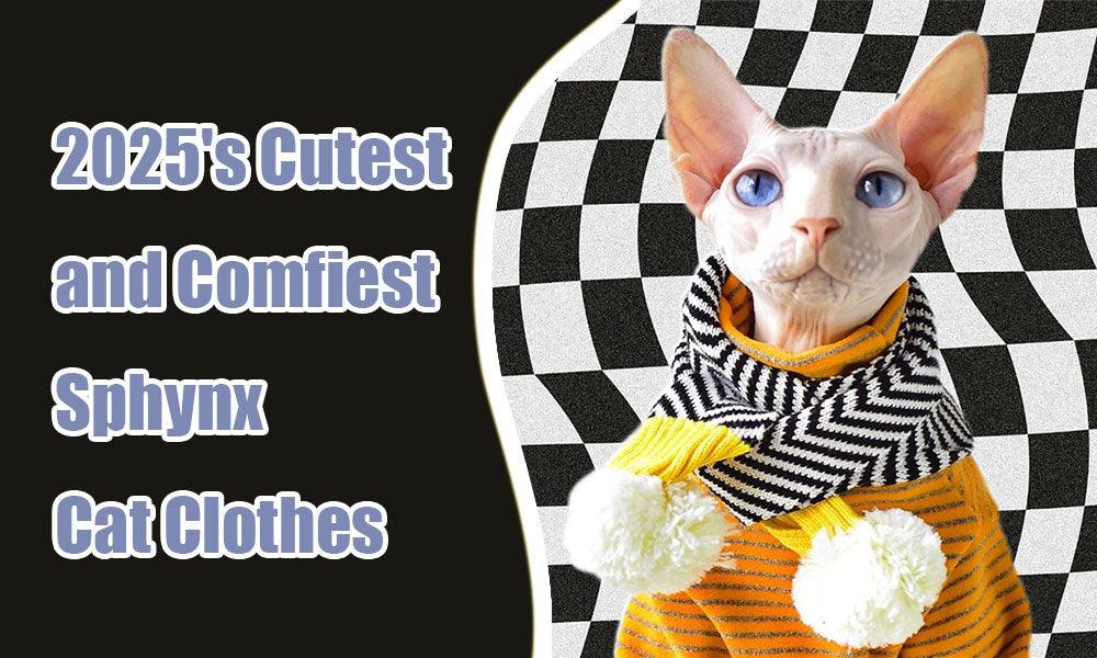 2025's Cutest and Comfiest Sphynx Cat Clothes