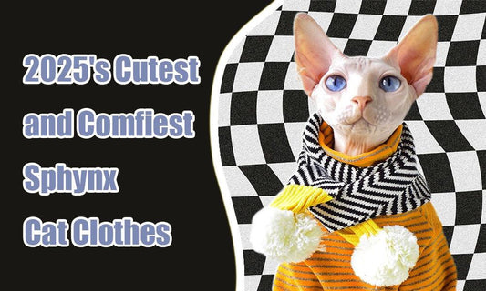 2025's Cutest and Comfiest Sphynx Cat Clothes