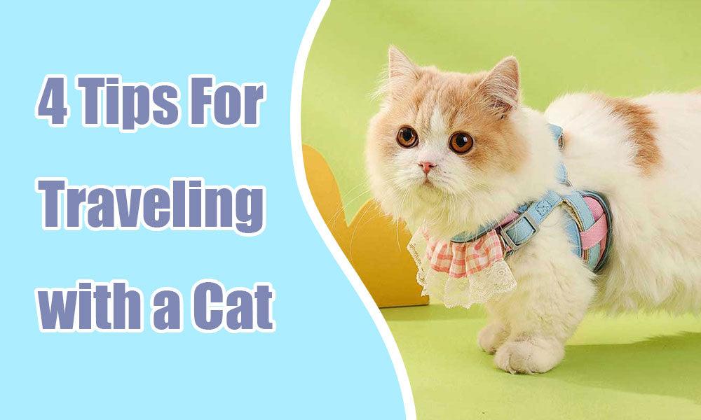 4 Tips For Traveling with a Cat - MEWCATS