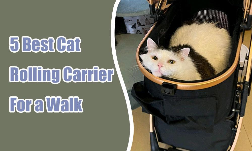 5 Best Cat Rolling Carrier-Find the Perfect Cat Trolley for Your Feline Companion! - MEWCATS