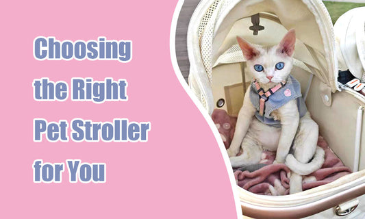 Choosing the Right Pet Stroller I Mewcats