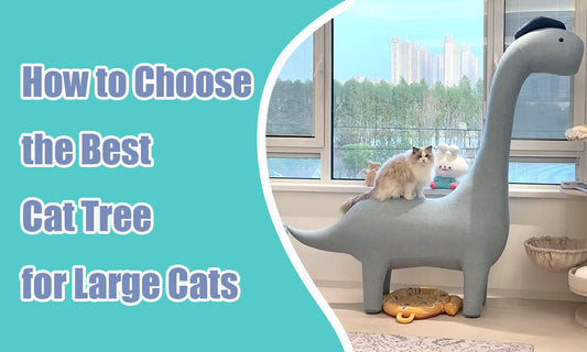 How to Choose the Best Cat Tree for Large Cats