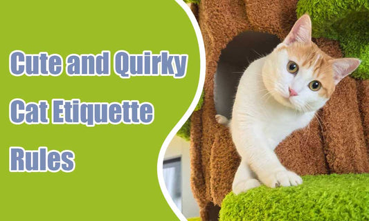 5 Adorable Cat Etiquette Rituals Every Cat Parent Should Know
