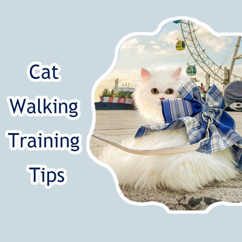 Cat Walking Training Tips - MEWCATS