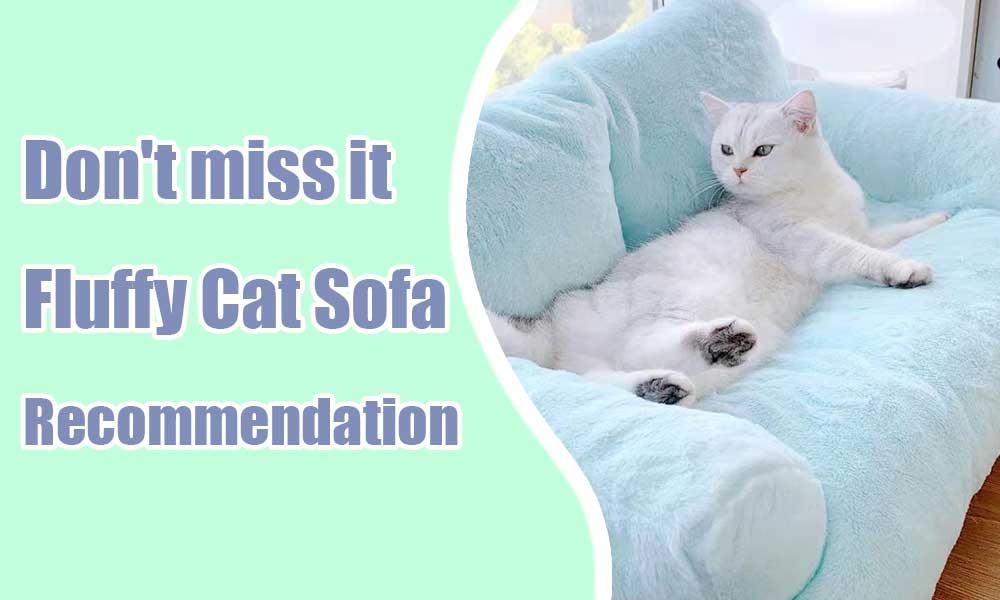 Don't miss it - Fluffy Cat Sofa - MEWCATS