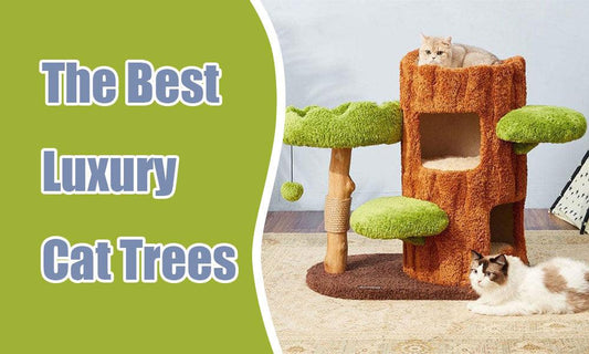 The Best Luxury Cat Trees for Pampered Feline Friends - MEWCATS