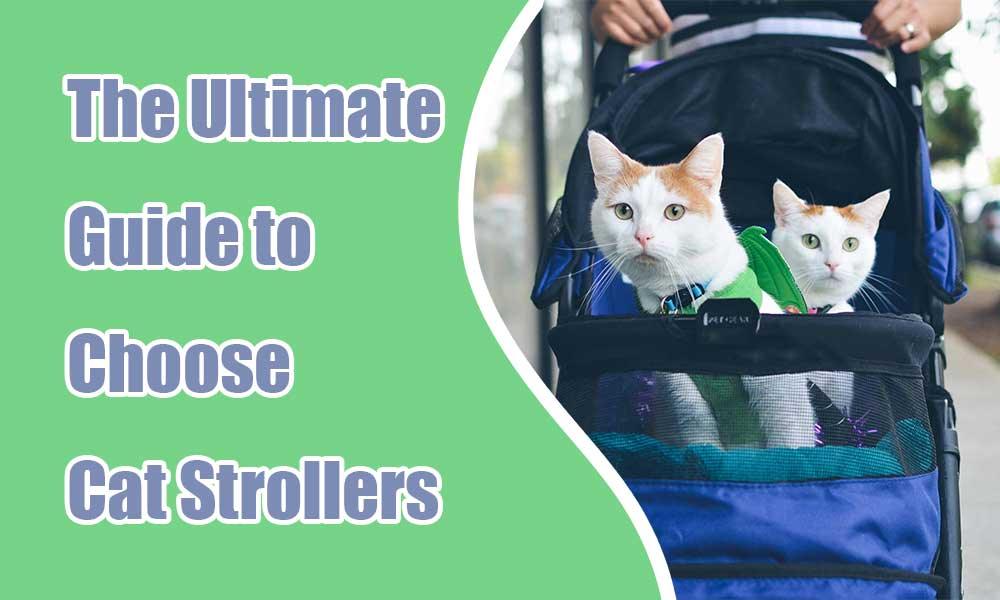 The Ultimate Guide to Choose Cat Strollers - MEWCATS