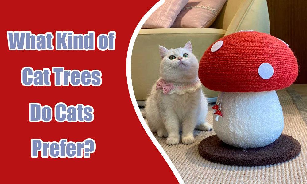 What Kind of Cat Trees Do Cats Prefer?