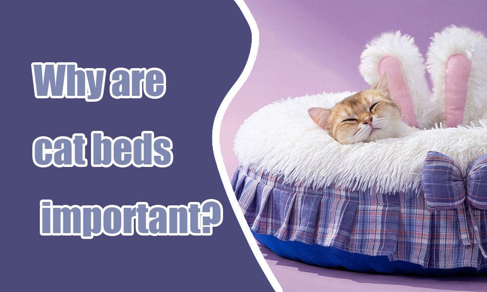 Why are cat beds important? - MEWCATS
