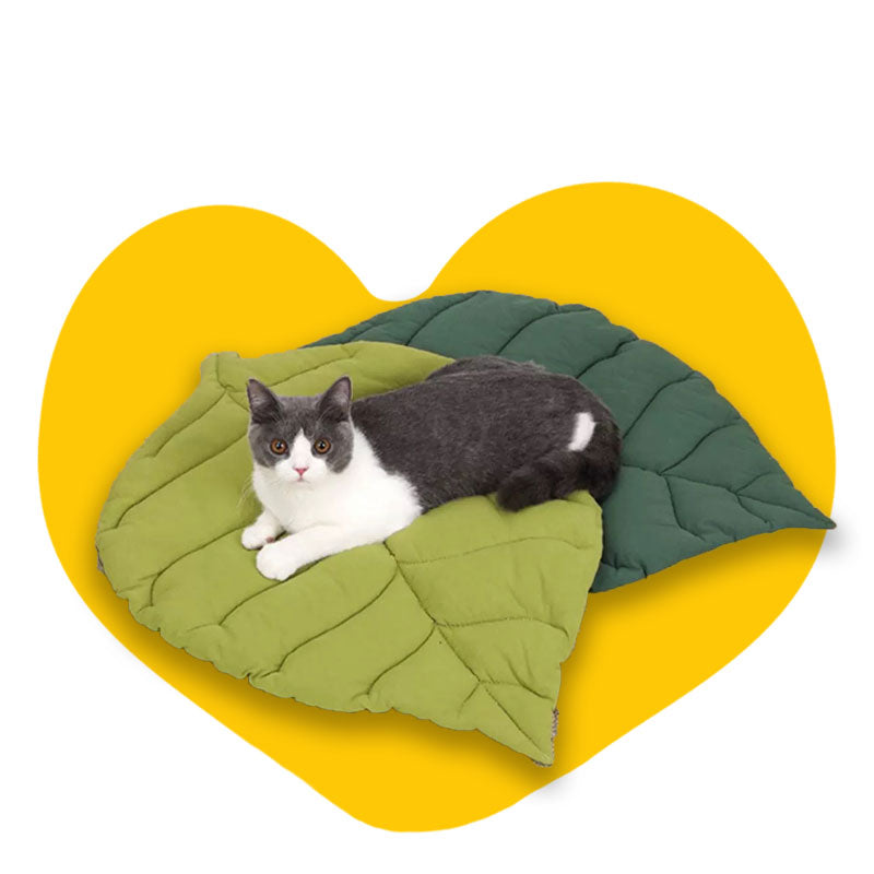 Soft and Durable Cat Mats and Pads | MewCats – MEWCATS