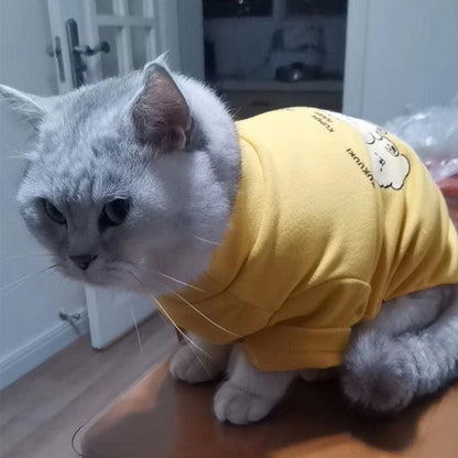 High Neck Cat Clothes 5 Color Warm Sweatshirt