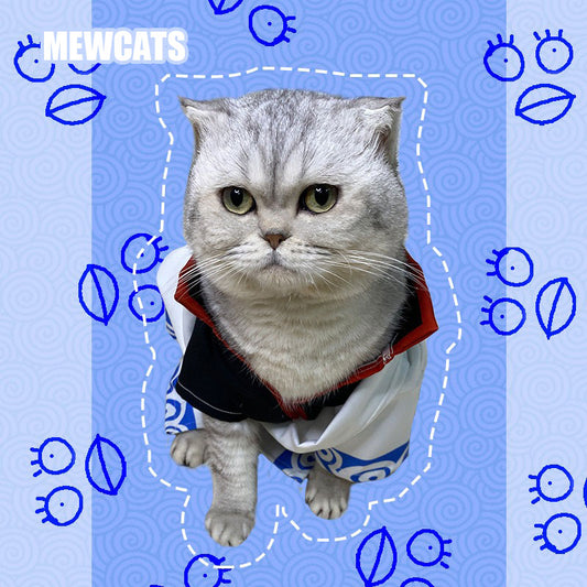 Gintoki Sakata Cat Anime Cosplay Costume