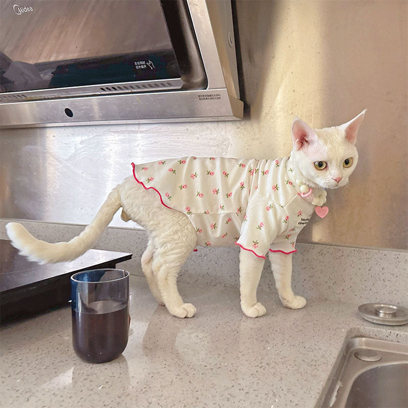 Lightweight Summer Dress for Sphynx Cats