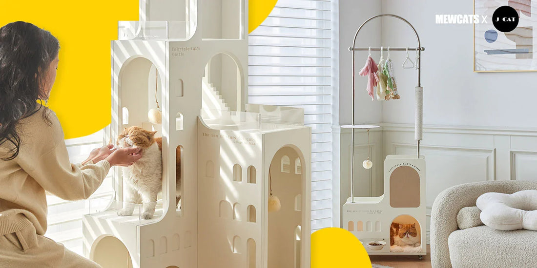 Mewcats-Your one-stop solution for all your cat needs – MEWCATS