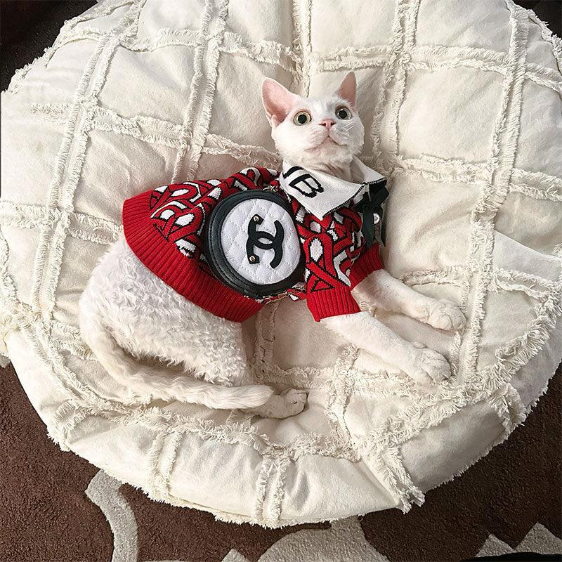 Academy Warm Hairless Cat Sweater Clothes
