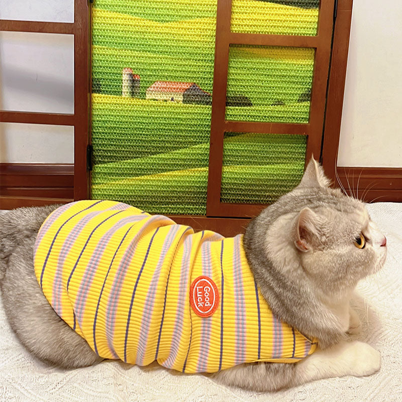 Artistic Window Frame Cat Scratcher