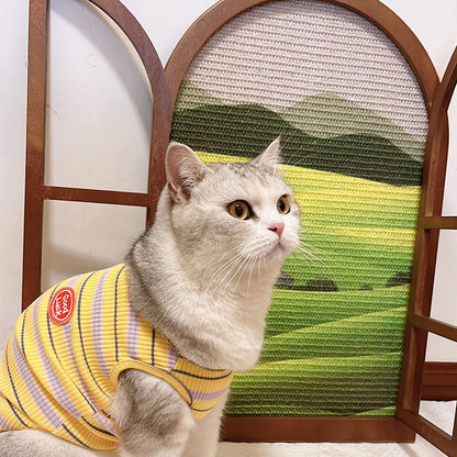 Artistic Window Frame Cat Scratcher