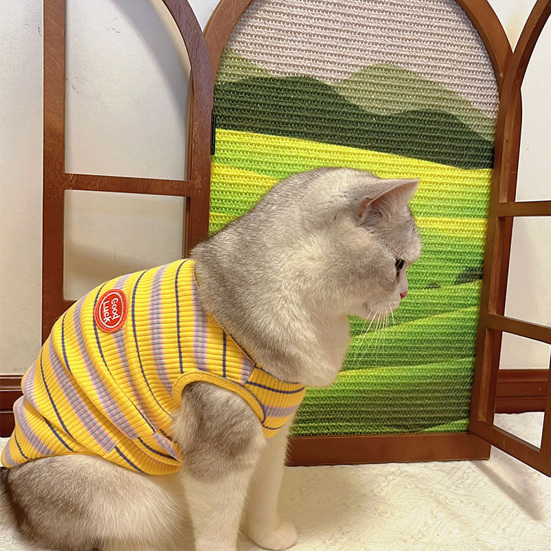 Artistic Window Frame Cat Scratcher