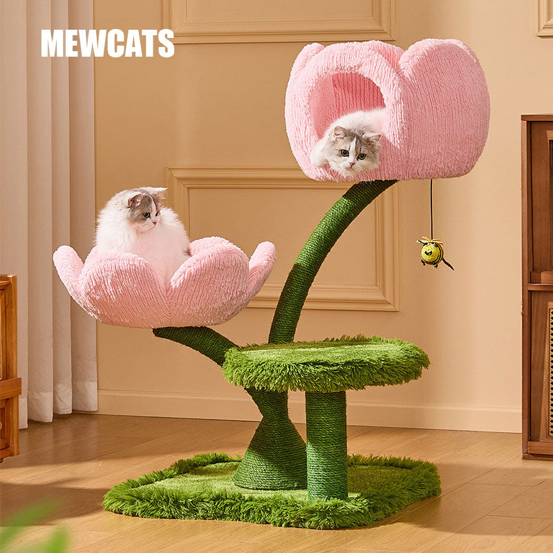 Blooming Tulip Cat Climbing Tree