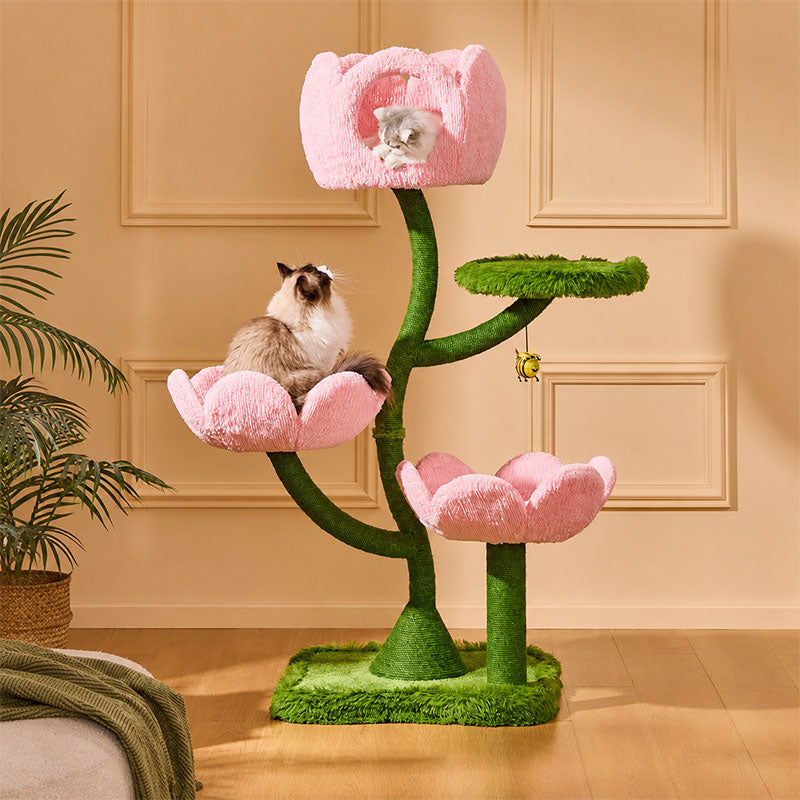 Blooming Tulip Cat Climbing Tree
