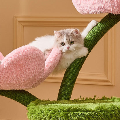 Blooming Tulip Cat Climbing Tree