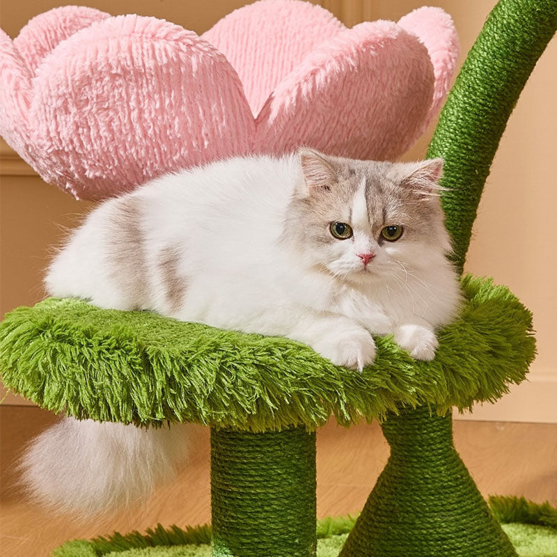 Blooming Tulip Cat Climbing Tree