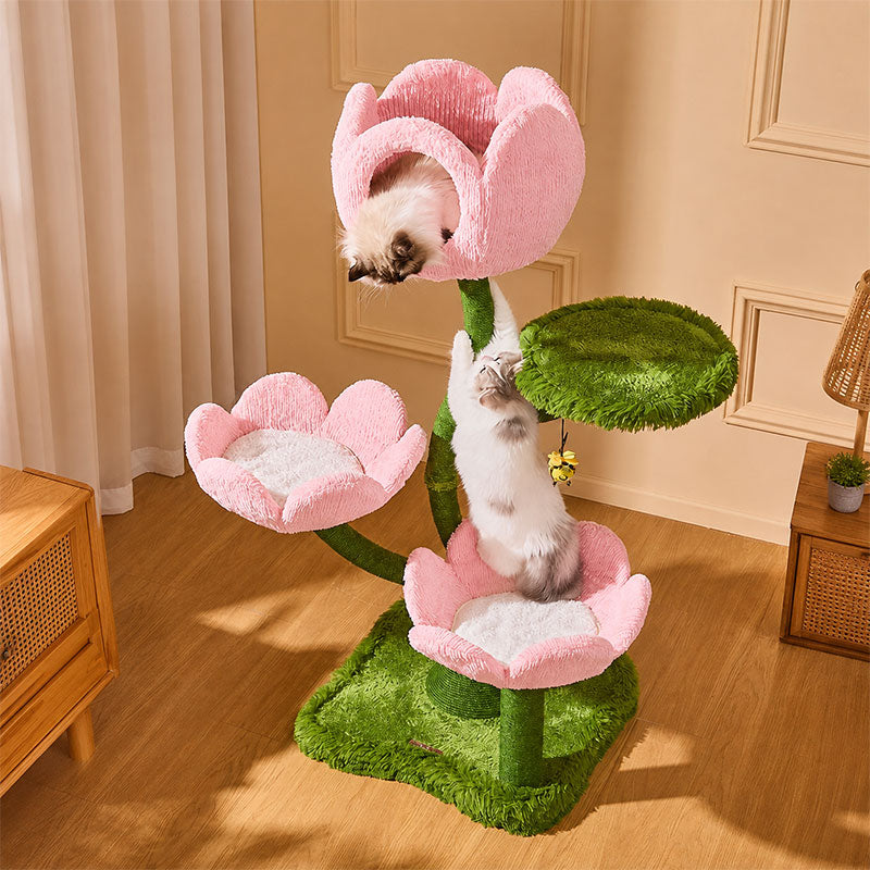 Blooming Tulip Cat Climbing Tree